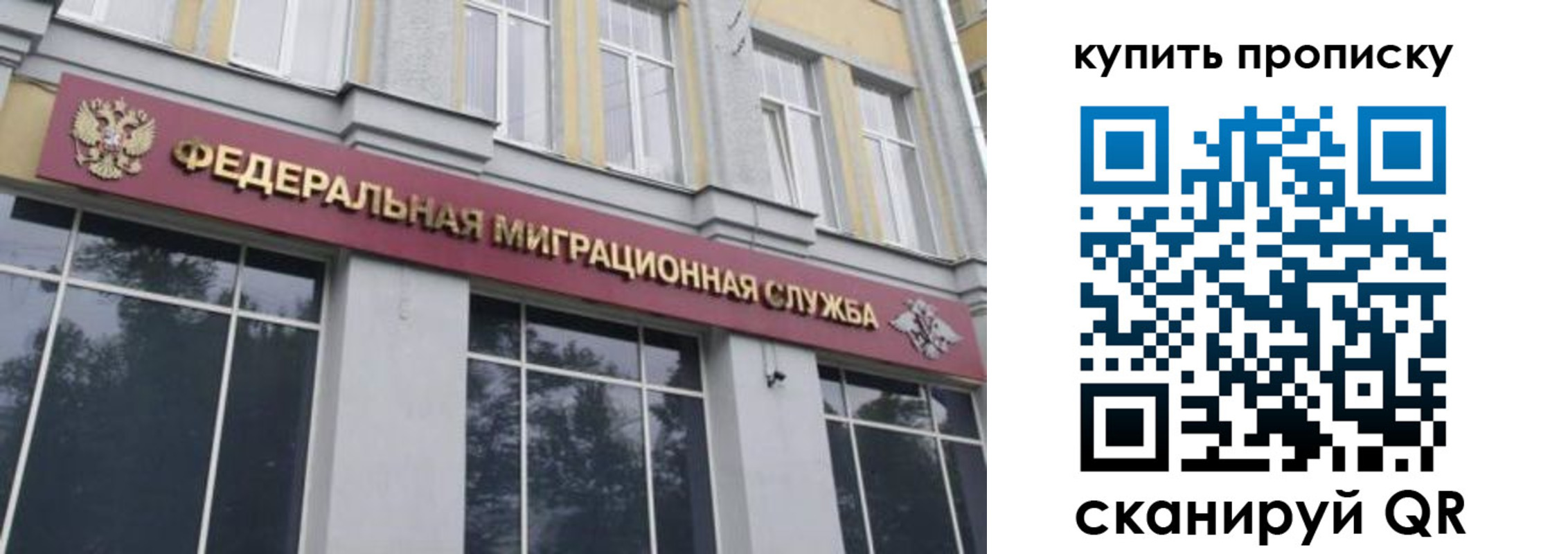 прописка поиск в Арзамасе